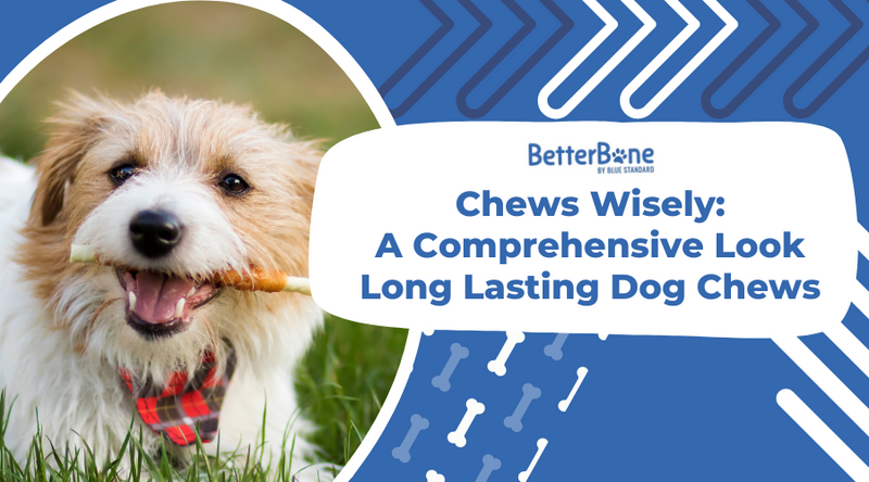 Long lasting dog online chews
