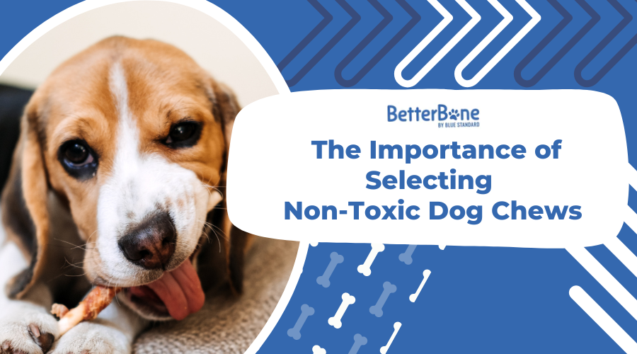 The Importance of Selecting Non-Toxic Dog Chews