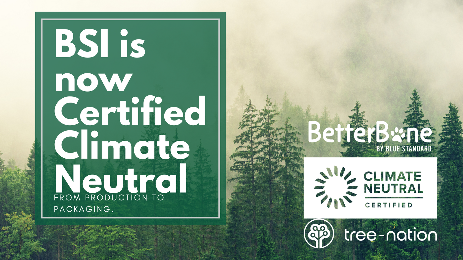 Embracing a Bluer Future: Blue Standard Inc. & BetterBone are Now Climate Neutral Certified