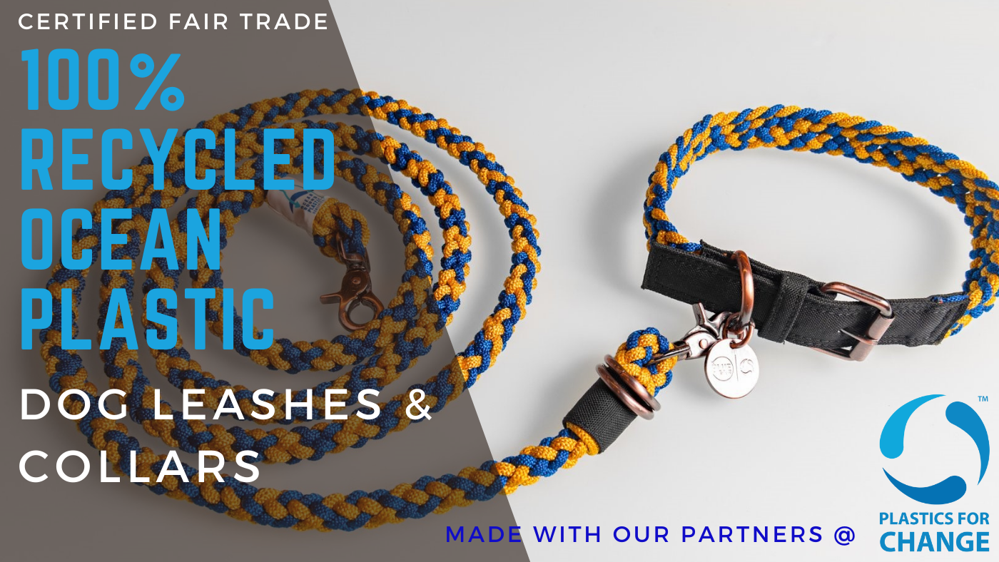 Recycled Ocean Bound Plastic Dog Leashes & Collars | Beautiful & Sustainable