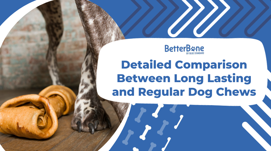 Detailed Comparison Between Long Lasting and Regular Dog Chews