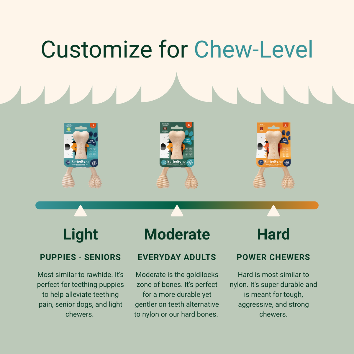 How Our Chews-ing Guide Matches Every Dog With Their Perfect BetterBone