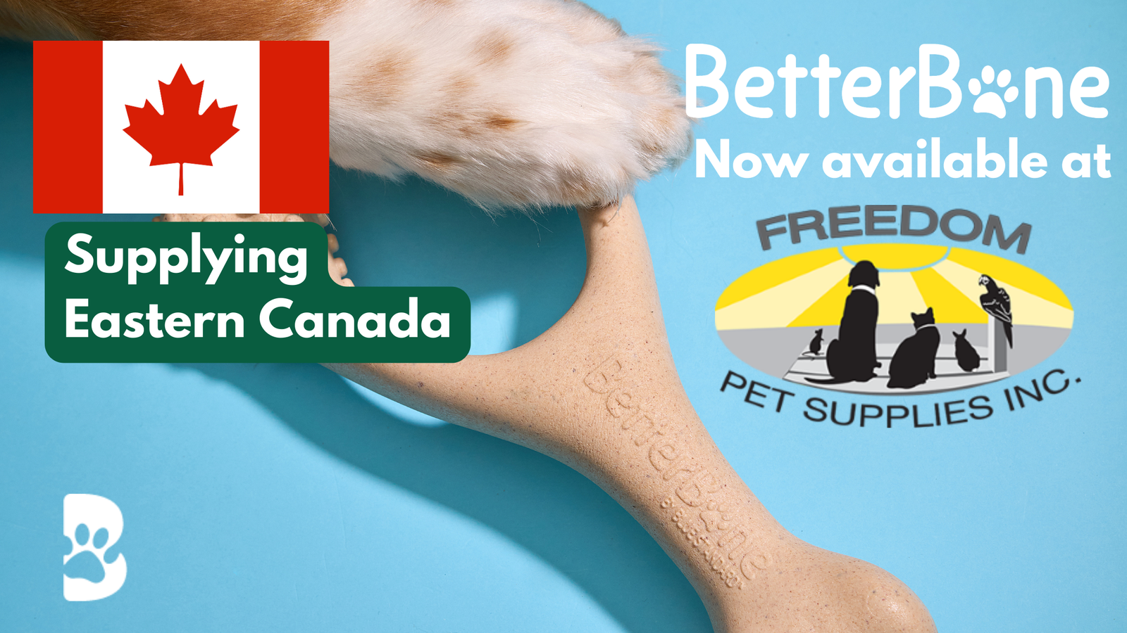 BetterBone Now Available in Eastern Canada with Freedom Pet Supplies BetterBone All Natural Eco Friendly Dog Chews Bones