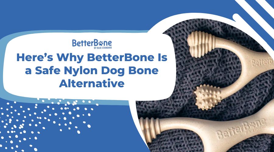 Here’s Why BetterBone Is a Safe Nylon Dog Bone Alternative