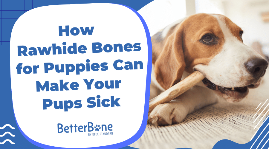 how rawhide bones for puppies can make your pups sick