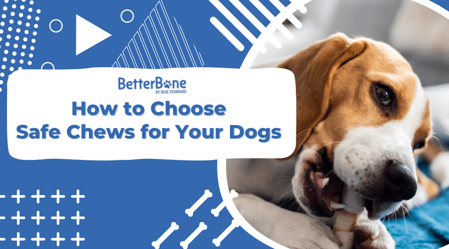 how to choose safe chews for your dogs betterbone
