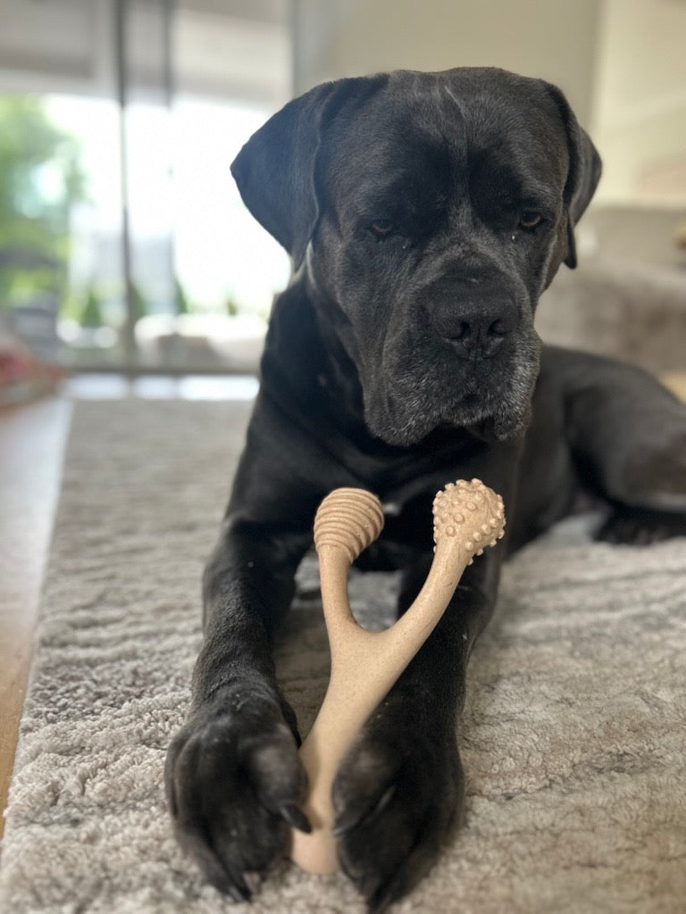 Bones for Big Dogs: How Big is Too Big?
