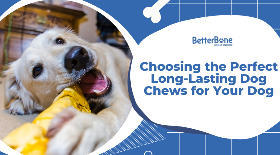 Choosing the Perfect Long-Lasting Dog Chews for Your Dog