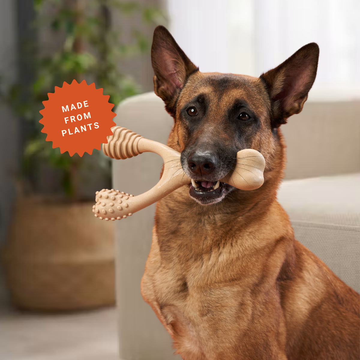 How to Choose the Right Dog Chew Toy for Your Dog