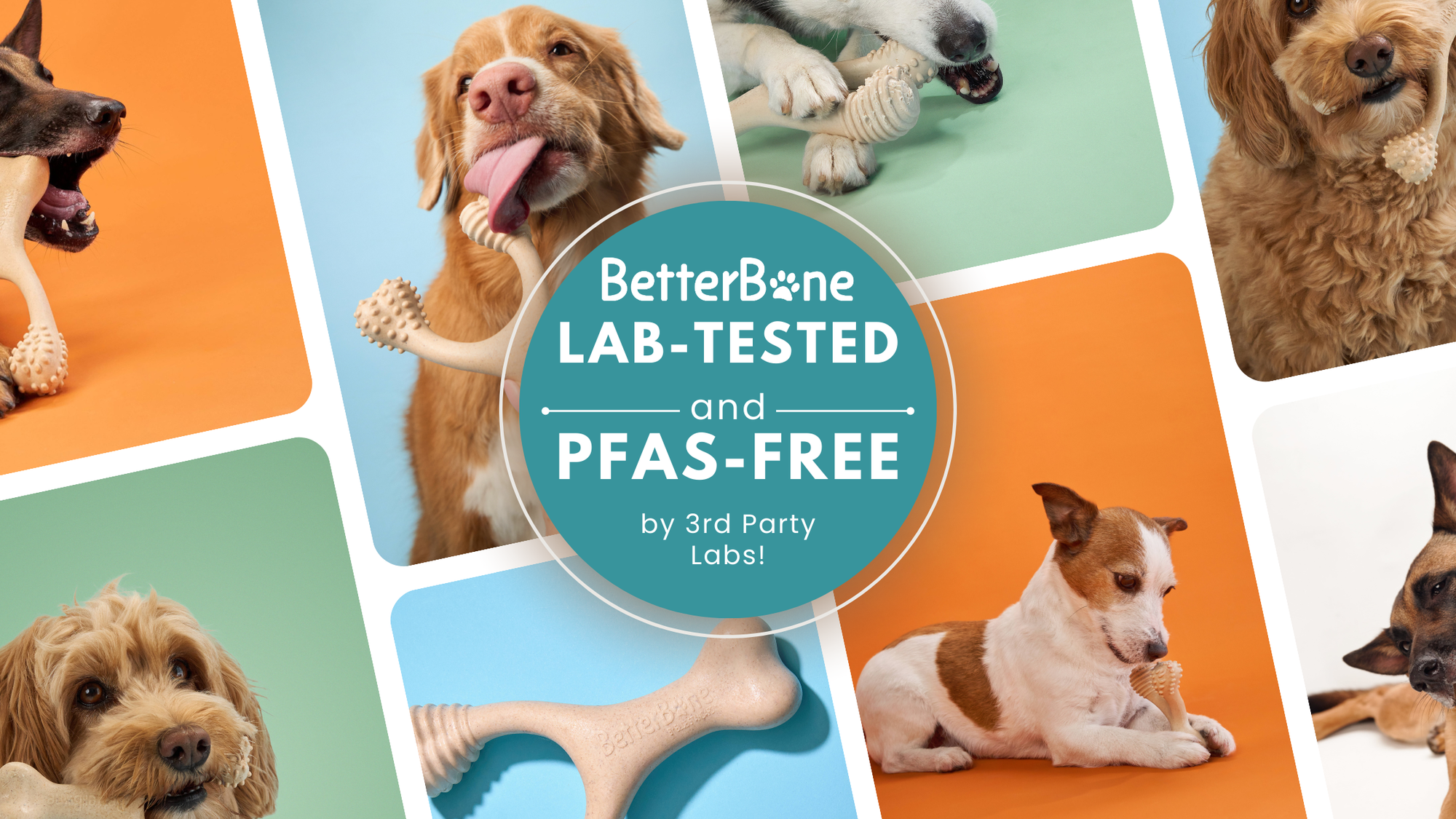 BetterBone CERTIFIED PFAS-Free: Third-Party Lab Testing Confirms Safer, Non-Toxic Dog Chews