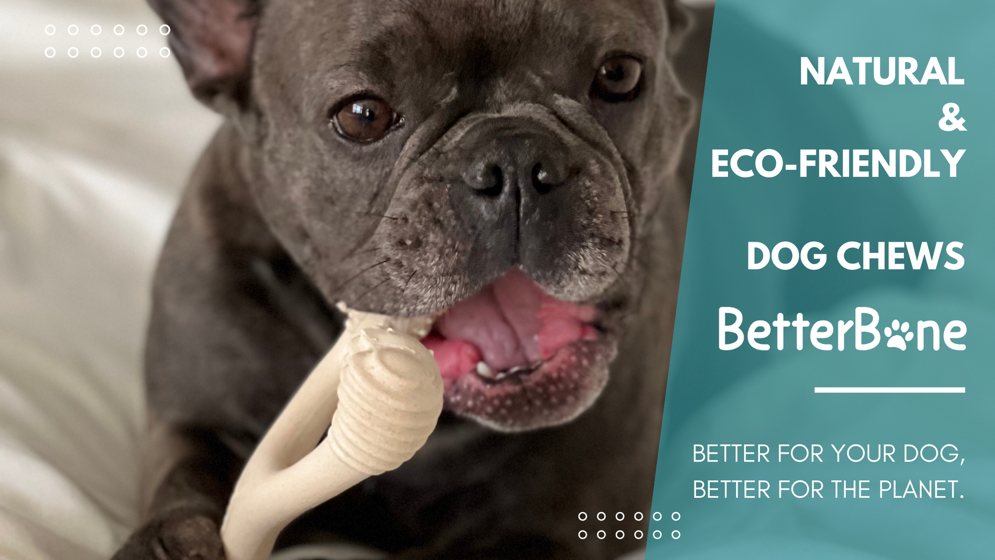 Natural and Eco-Friendly Chew Toys: Why BetterBone is the Best Choice