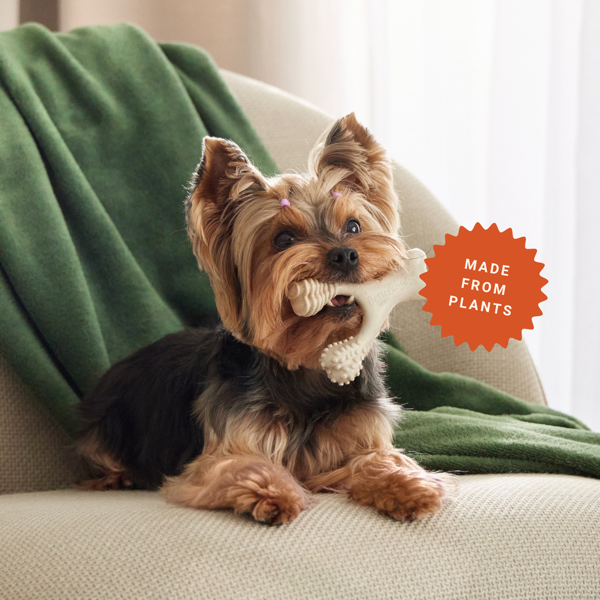 Exploring the Ingredients Behind Long Lasting Dog Chews