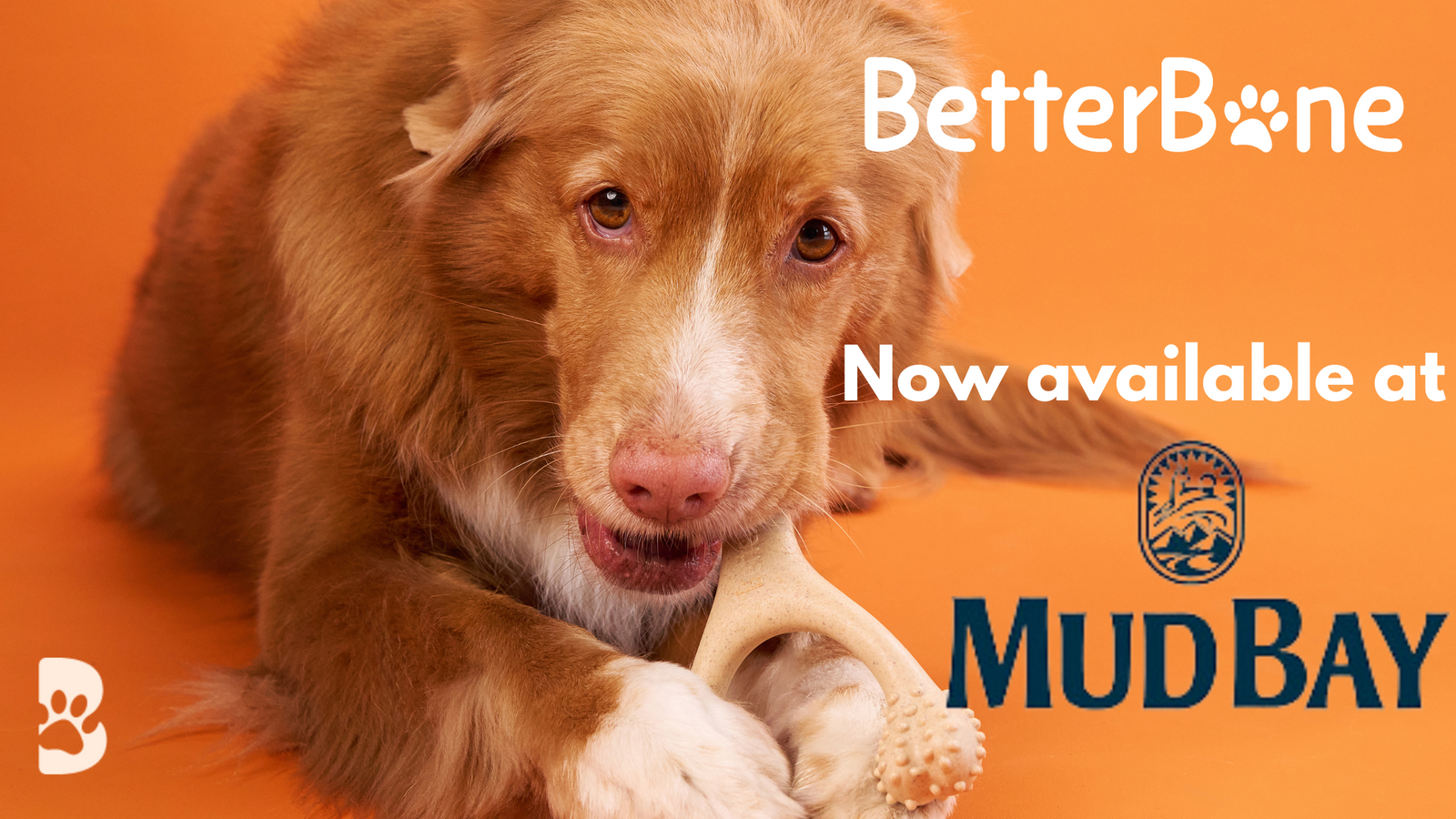 BetterBone Now Available at Mud Bay: A Perfect Pair for Pet Health and Happiness