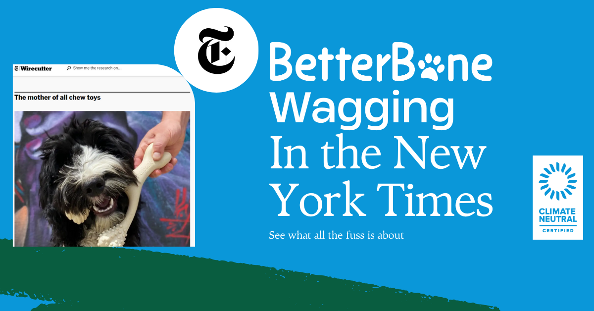 BetterBone Gets Rave Reviews: Celebrating Our Features in the New York Times & WireCutter!
