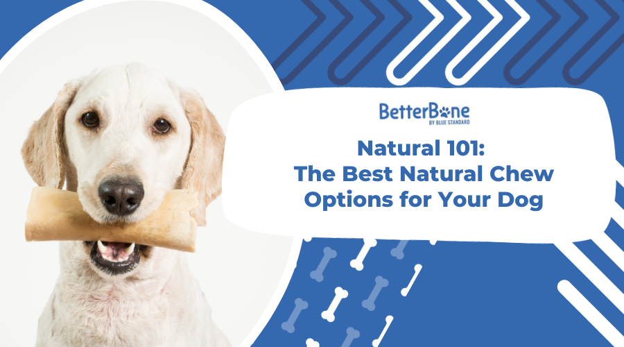 Natural 101 The Best Natural Chew Options for Your Dog BetterBone All Natural EcoFriendly
