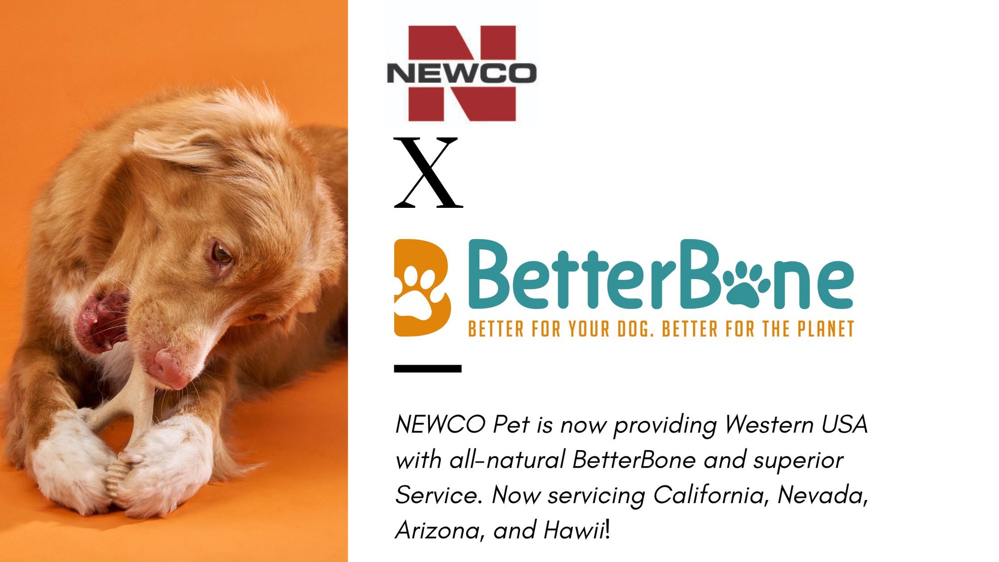 BetterBone Partners with Newco Distribution to Expand Reach Across California, Nevada, Arizona, Hawaii, and Beyond