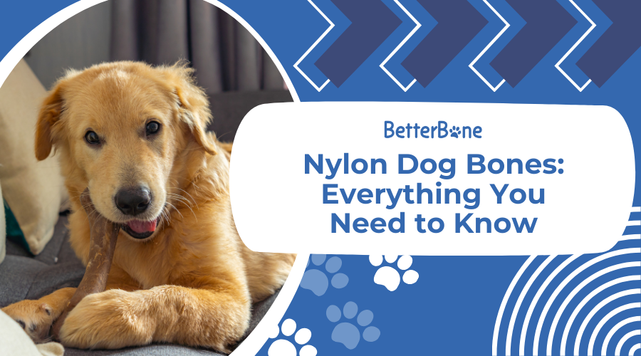 Nylon Dog Bones: Everything You Need to Know - BetterBone All Natural ...