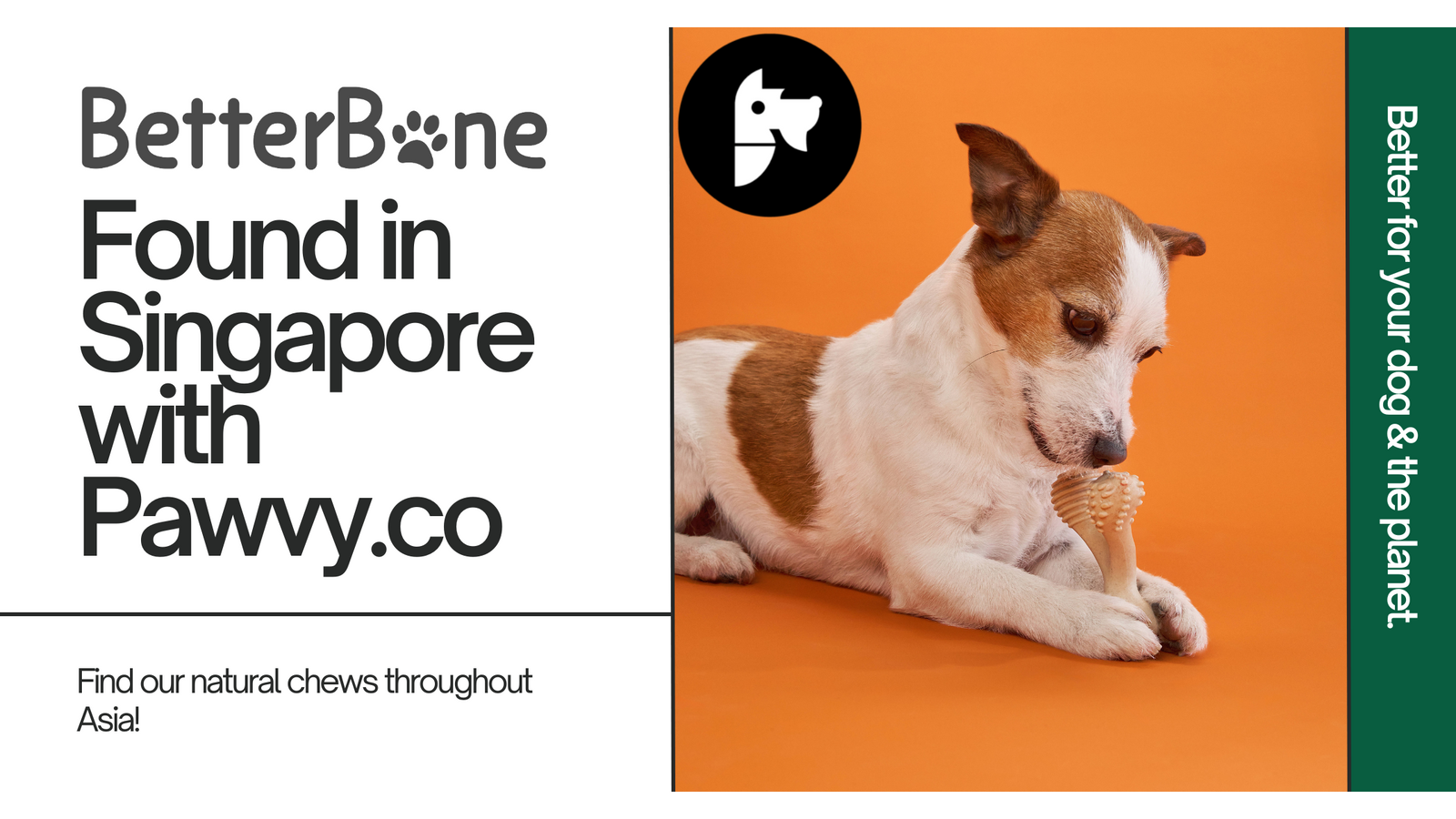 BetterBone Partners with Pawvy, Expanding Our Reach to Singapore