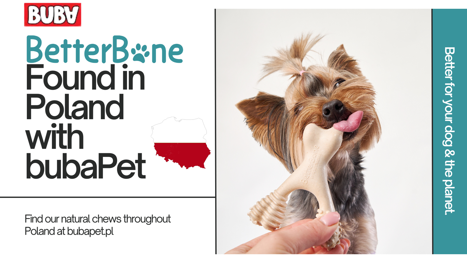 BetterBone Expands to Poland with New Partnership with BubaPet!
