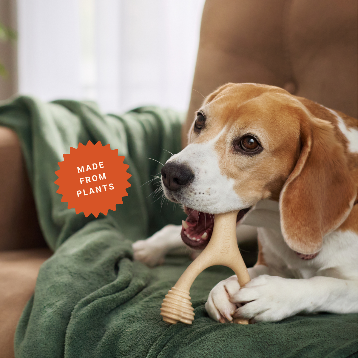 How Do You Flavor a Dog Chew Without Meat?