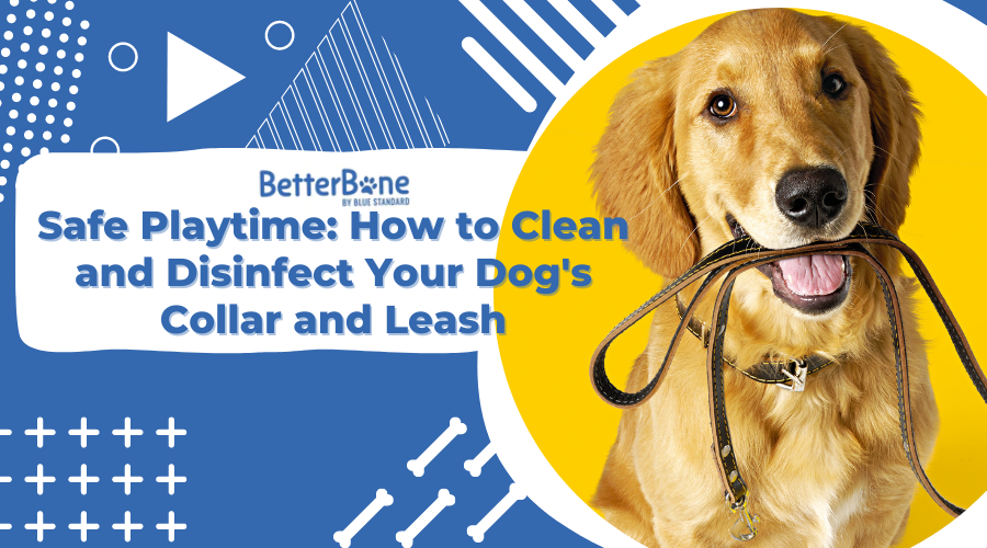 Safe Playtime: How to Clean and Disinfect Your Dog's Collar and Leash