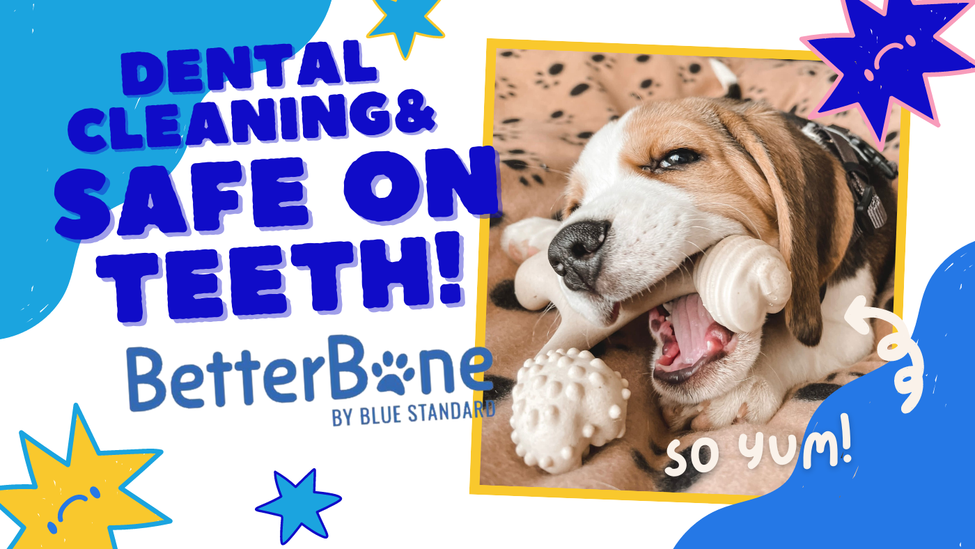 Dental Cleaning Dog Bone & Dog tooth safety - Better Bone