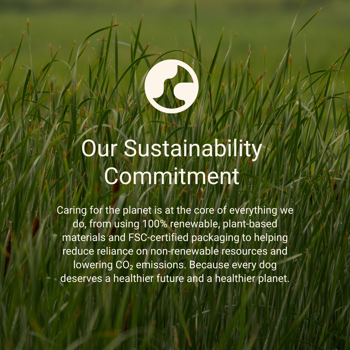 Pet Sustainability Accredited Business : BetterBone