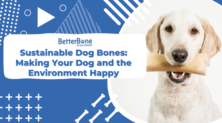 Sustainable Dog Bones: Making Your Dog and the Environment Happy