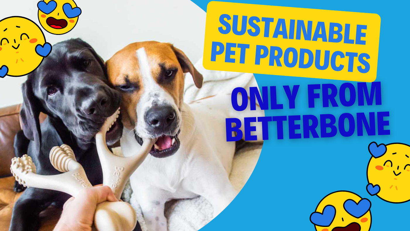 Sustainable Pet Products  Better Bone Dog Chew Bone