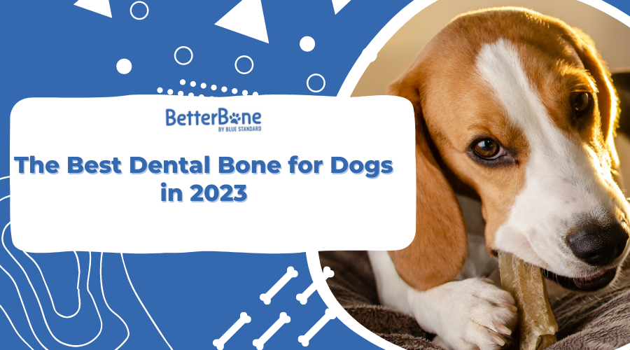 The Best Dental Bone for Dogs in 2023