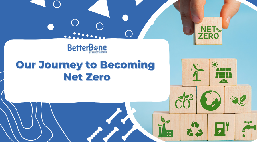 Our Journey to Becoming Net Zero