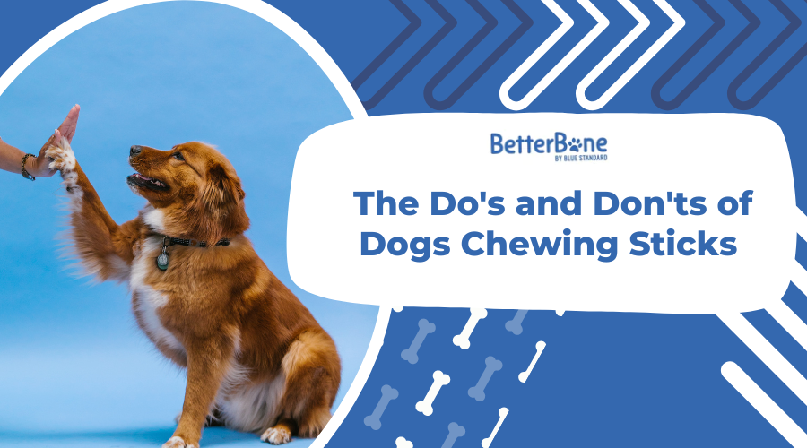 The Do's and Don'ts of Dogs Chewing Sticks BetterBone All Natural Eco