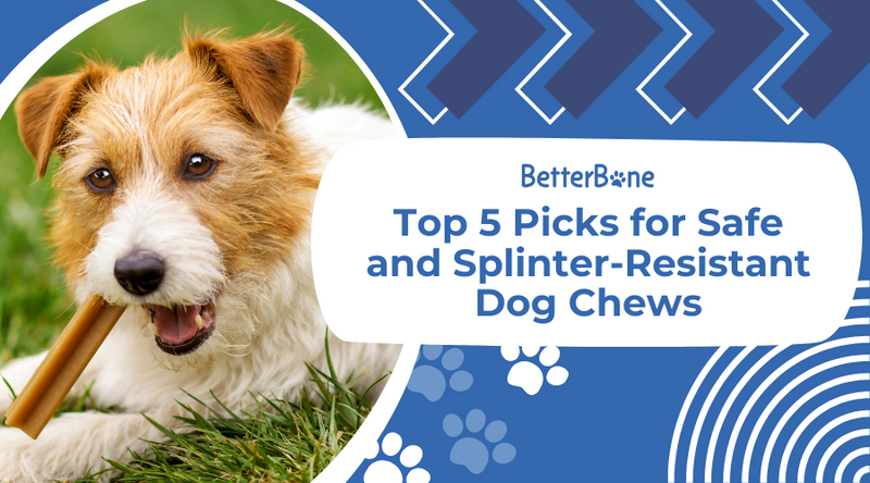 Top 5 Picks for Safe and Splinter Resistant Dog Chews BetterBone All Natural Eco Friendly Dog Chews Bones