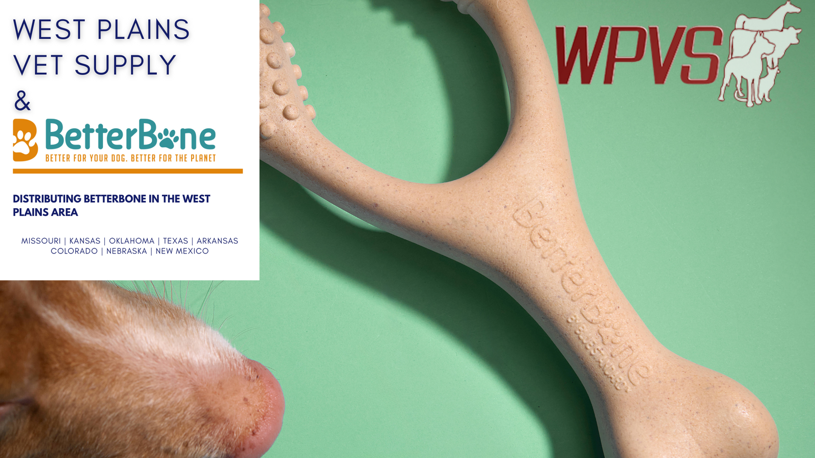 BetterBone Now Available Through West Plains Veterinary Supply (WPVS)