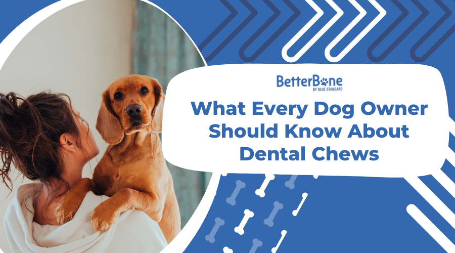 What Every Dog Owner Should Know About Dental Chews