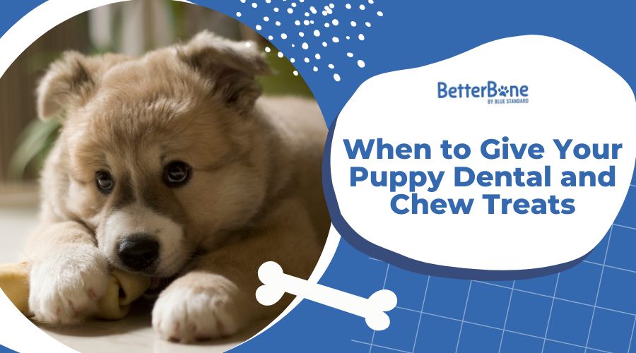 When to Give Your Puppy Dental and Chew Treats