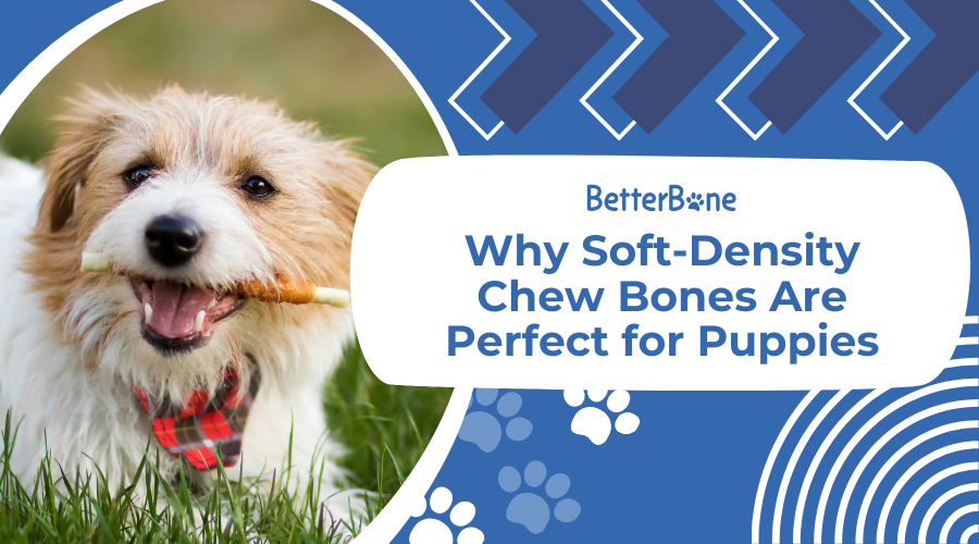 Best non rawhide deals bones for dogs