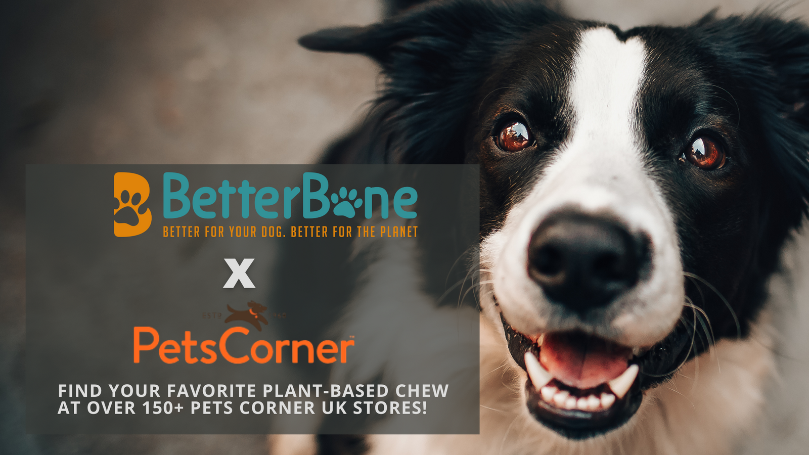 BetterBone Expands Into the UK with Pets Corner 150+ Store Launch