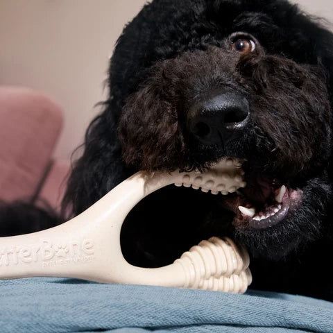 Allergy-Free Dog Chews - Hypoallergenic, healthy, and safe. The BetterBone Difference