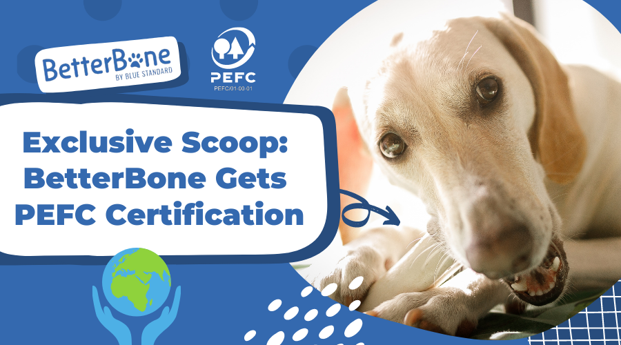 exclusive scoop: betterbone gets pefc certification