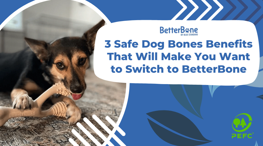 3 safe dog bones benefits that will make you want to switch to betterbone