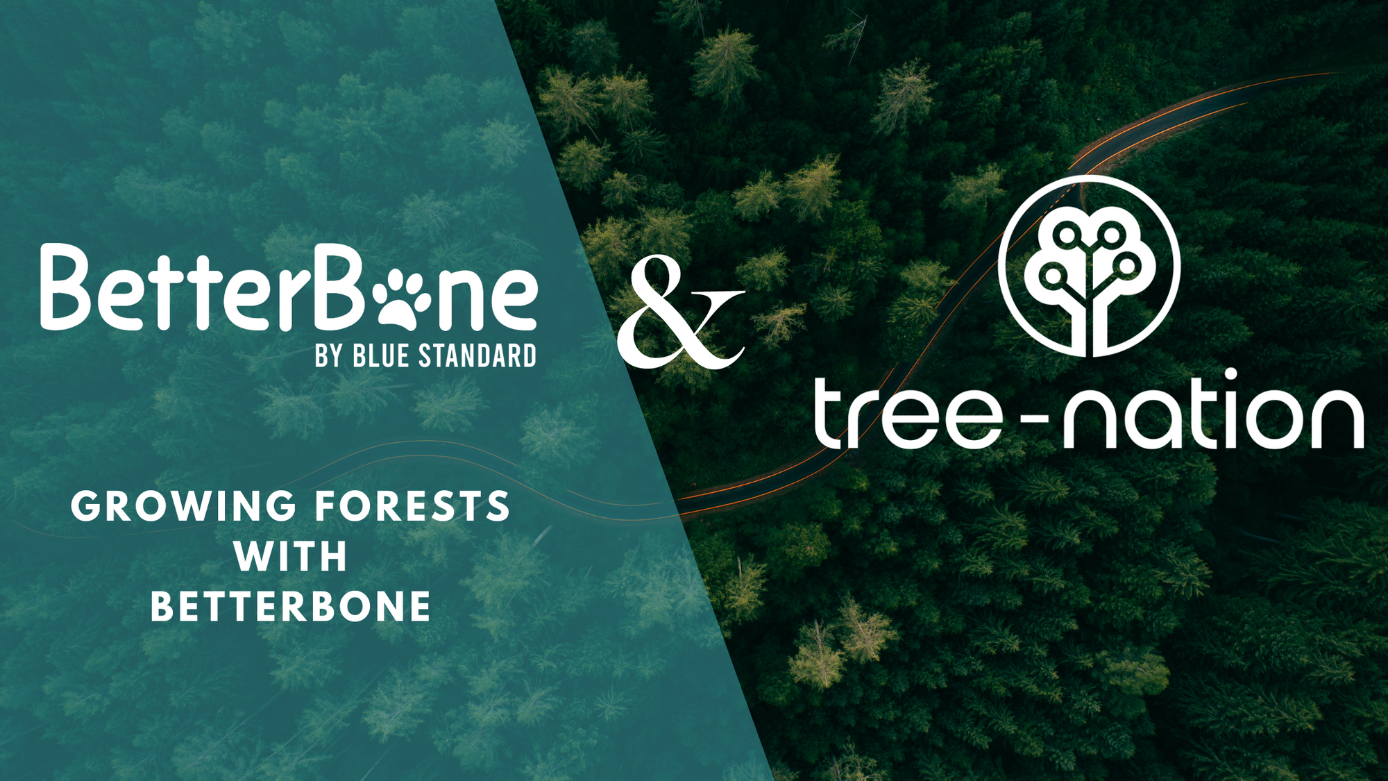 BetterBone. and Tree-Nation: A Partnership Committed to Sustainability and Reforestation
