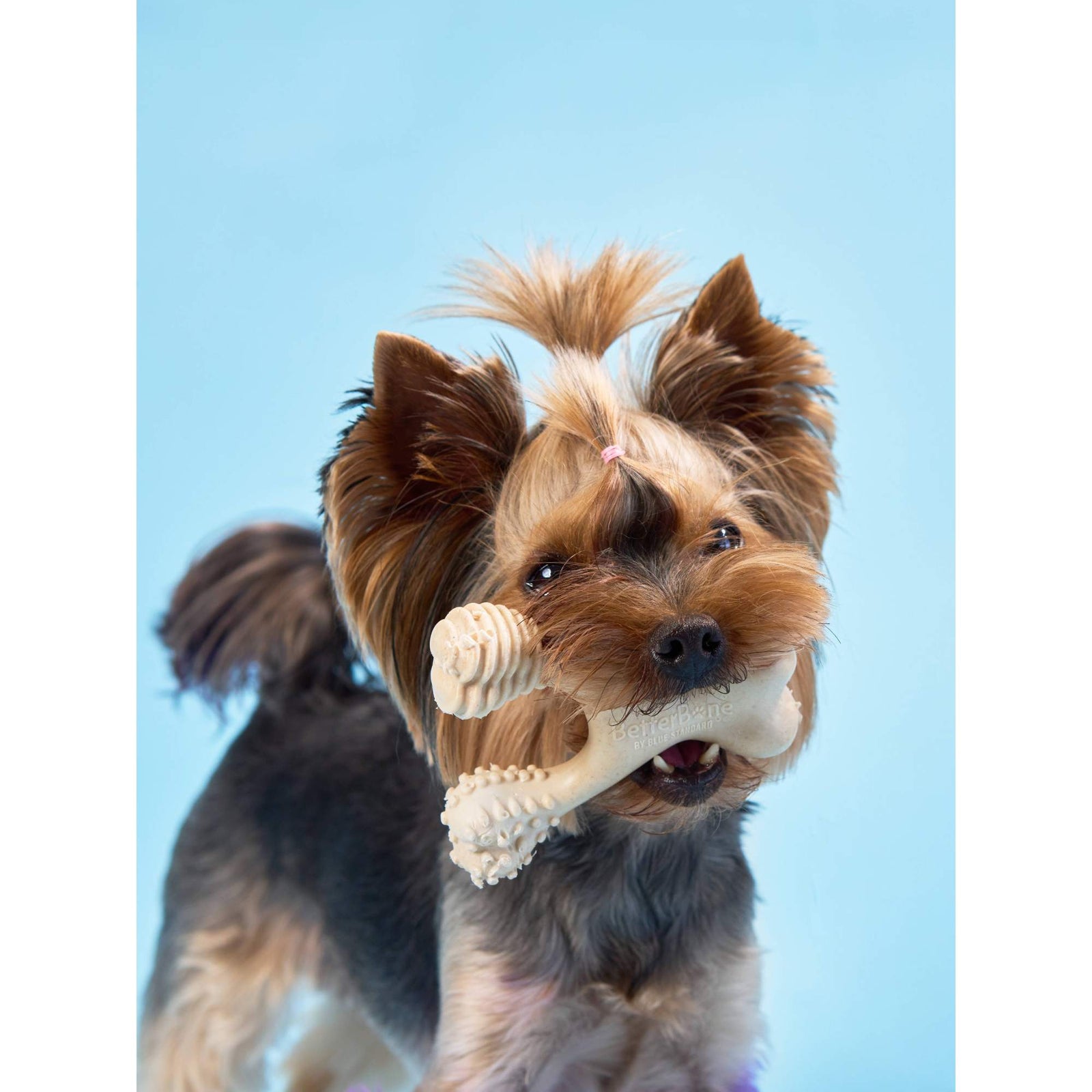 Gentle & Easier On Teeth – BetterBone Soft Density Collection