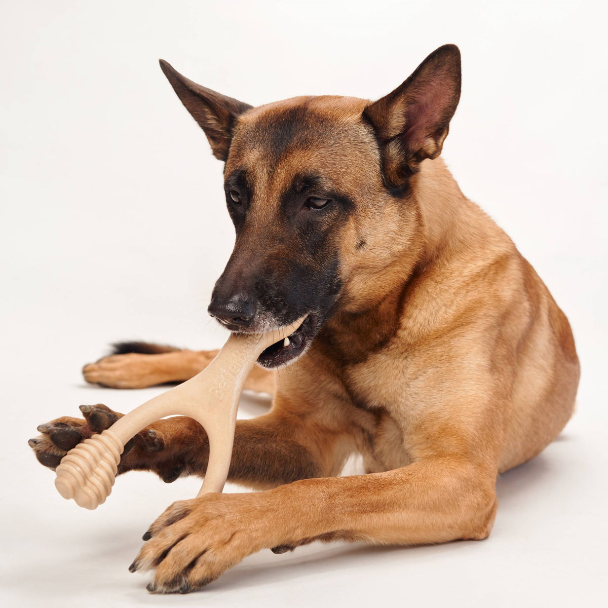 BetterBone Medium Density- Perfect for medium to strong chewers! Natural, healthier, safer.