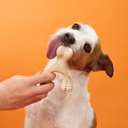 BetterBone Chew Toy - Venison