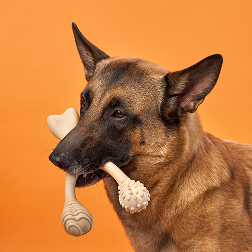 BetterBone Chew Toy - Venison