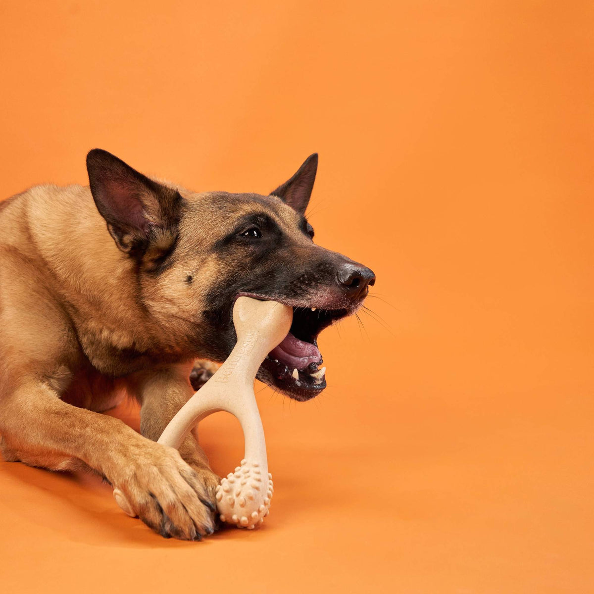 BetterBone Hard Density- Tough, SUPER Durable All-Natural, Dog Chews - For Aggressive Chewers.