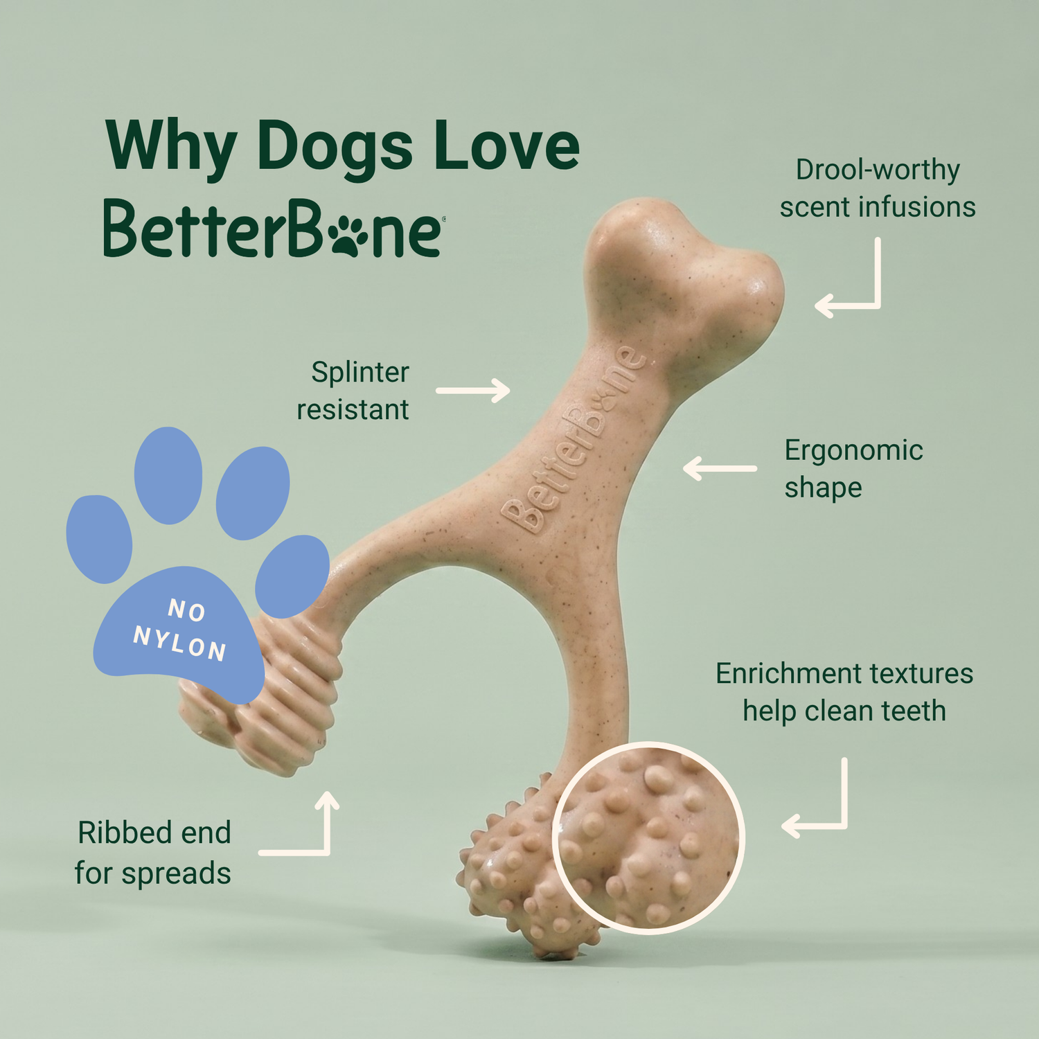 BetterBone Small Chew Toy