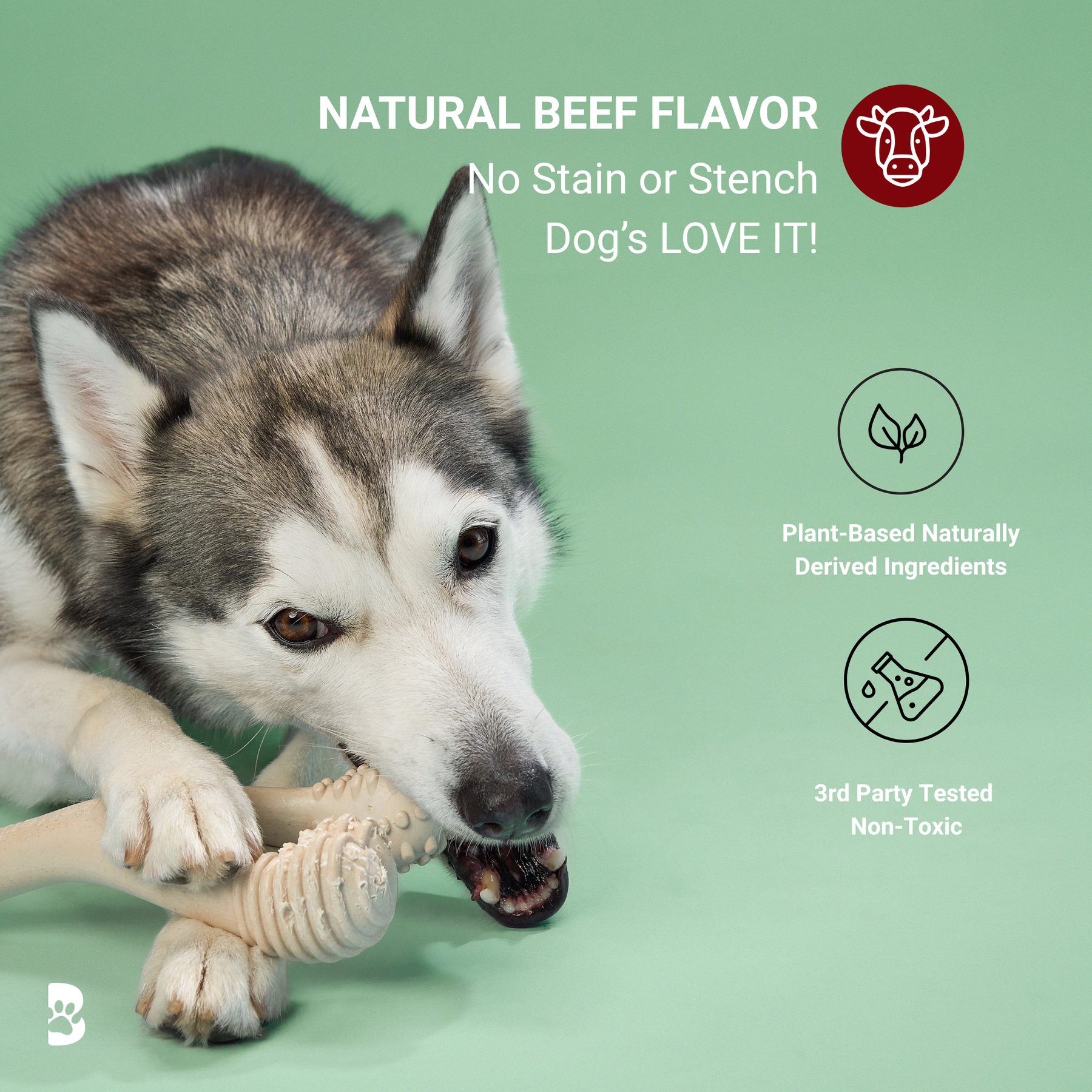 BetterBone MODERATE Chew Toy