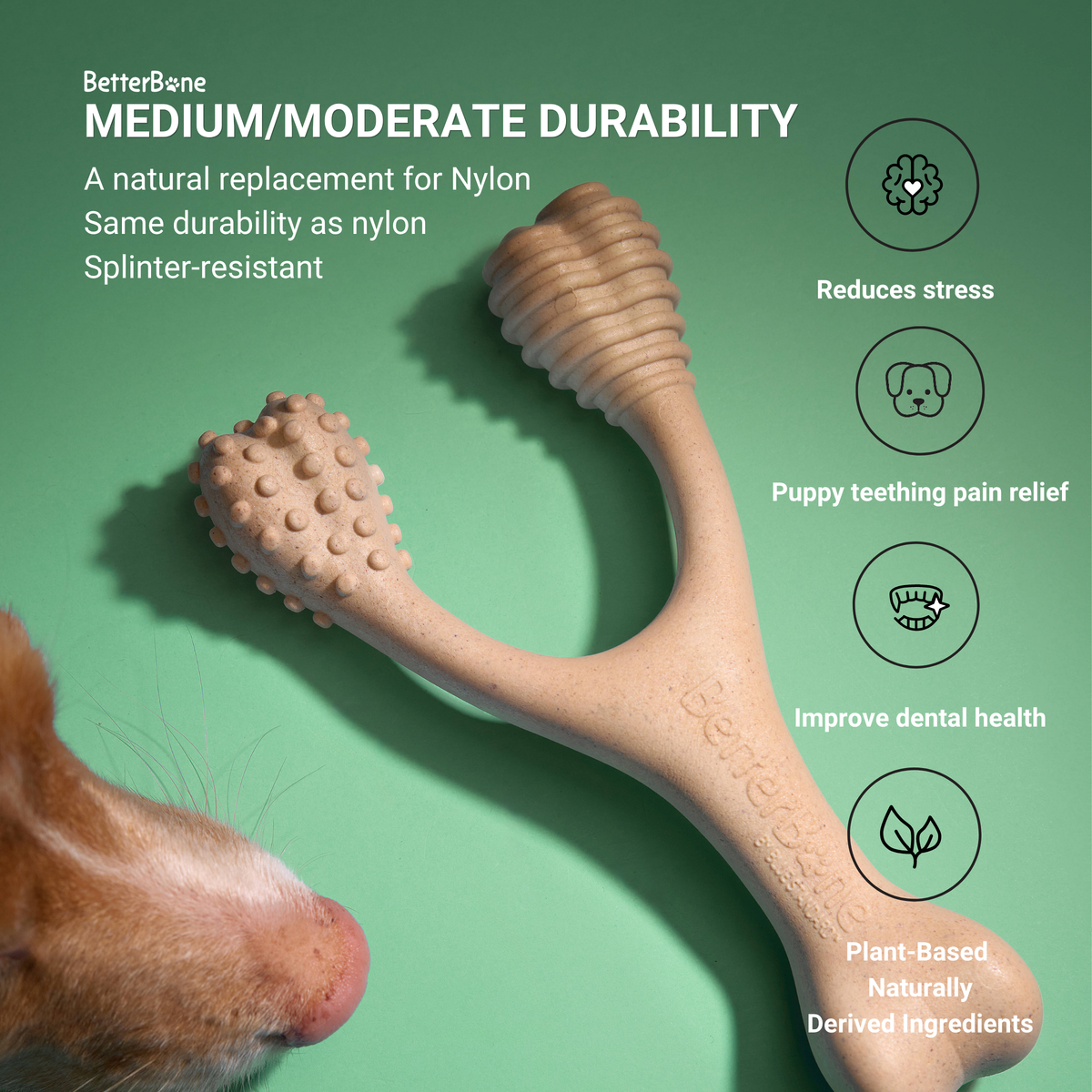 BetterBone Chew Toy - Venison